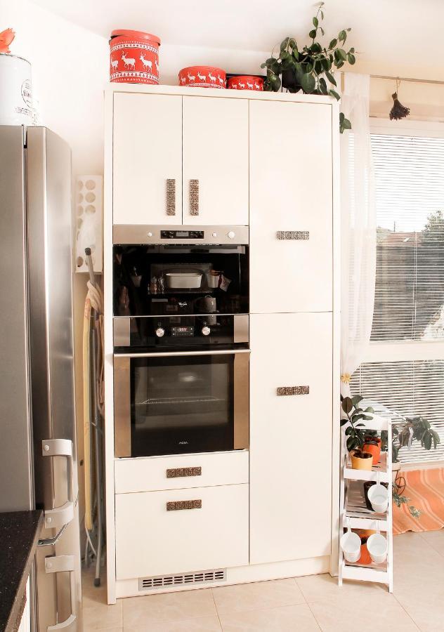 2-Izbovy Apartman Mlynica S Balkonom Kültér fotó